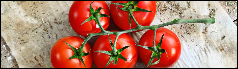 tomatoes-banner