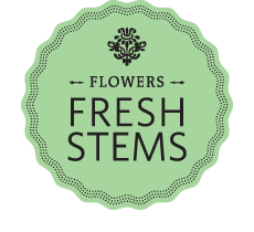 Fresh Stems Flowers